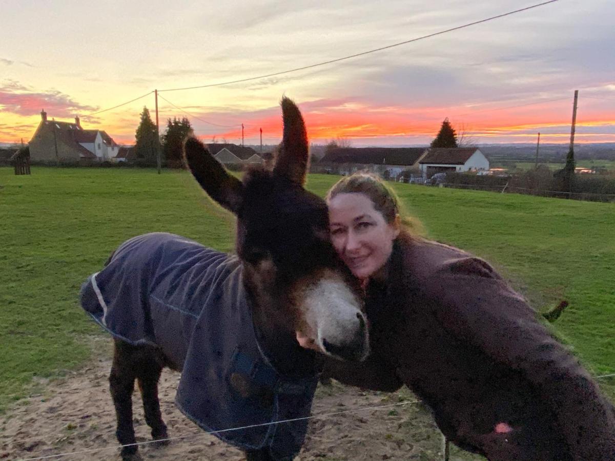 Rew Farm Country & Equestrian Accommodation - Sunrise Lodge Мелкшам Екстериор снимка