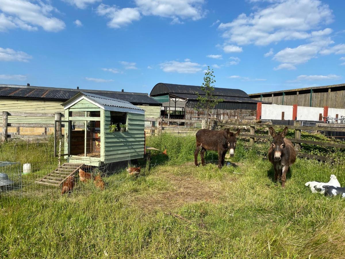 Rew Farm Country & Equestrian Accommodation - Sunrise Lodge Мелкшам Екстериор снимка