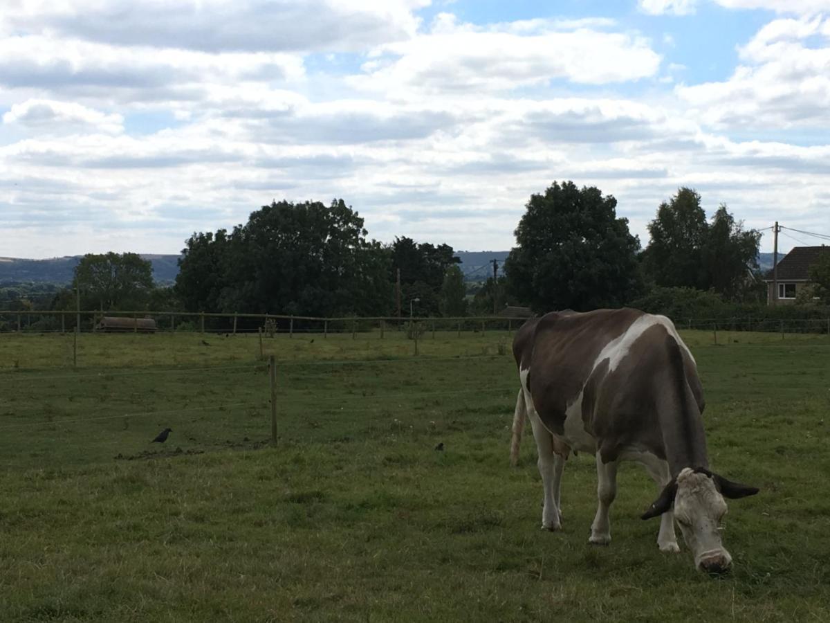 Rew Farm Country & Equestrian Accommodation - Sunrise Lodge Мелкшам Екстериор снимка